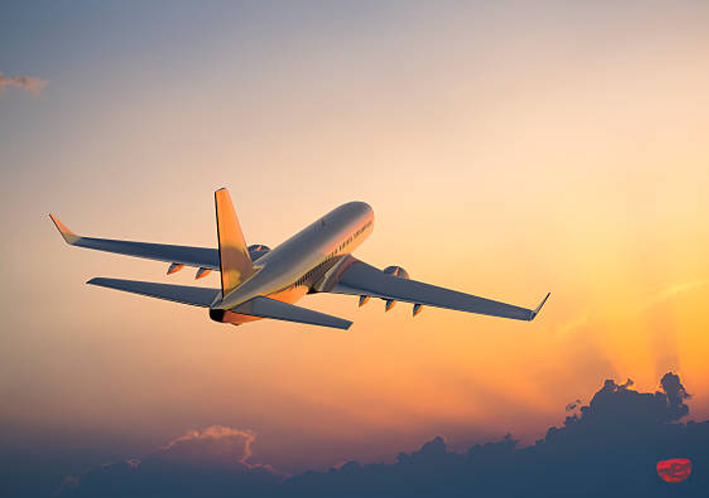 Domestic and International Ticket
